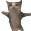 L J