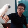 Wahyu Herlambang