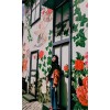 Aisya Zunaida