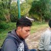 Muli blues males