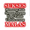 Setya Tia