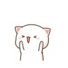 CAT LOVER😻