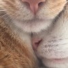 ㅜㅅㅜ