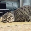 Ewaaaaaaaahhh