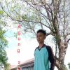 Korban Halu