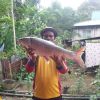 Din Kuala Sat