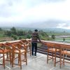 Nawawi