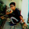 Bgxtar