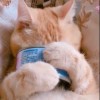 $_$mochichimchim