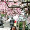 Indah Putri