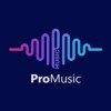 Allsongplaylist
