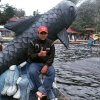 Nurhadi Agus