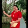 Sawitree Pimpeadhan