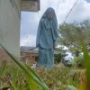 ain_Qisya999