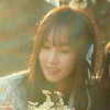 YUJU's BUDDY