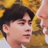 腊梅朵朵怒放啦