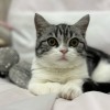 麻糬(>^ω^<)