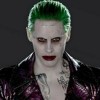 leonardo.w