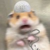 ナッズ 