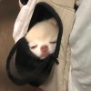 웅엉엉💕