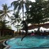 Cintany Akuy