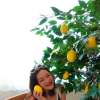 Namfon Rainny