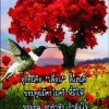 Suneerat Balprasong