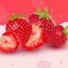 Dr. Strawberry 