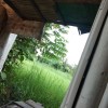 kaislur