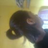 Nurdin Flayx Sialo'rockers
