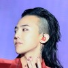 SUSIE_GD
