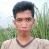 Mengomentari Kiriman Anda