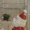 ccparew_