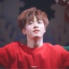 Pepi_jr