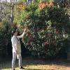 🌻陳梅玲