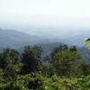 Chanom1