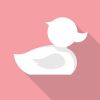 Paddy Duck