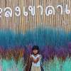 ชมพู ชัดไชยสง
