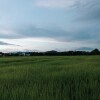 KanisorNMusiC