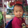 Hartono Har