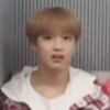 baby_bear
