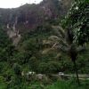 Ady Simarmata