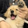 君时