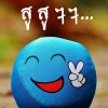 มีชัย วรปาณิ