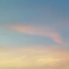 干什么