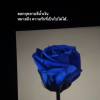 เหนื่อยก็พัก ไม่รักก็พอ
