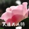 🌙 天涯共此时 ❗