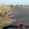 Al Mustofa Tofa