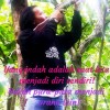 Kang Wiet Kepo