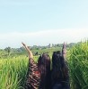 Alina Juwita